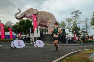 BIB: 
                            <button type="button" onclick="openModal(26528489)" class="btn btn-primary btn-sm float-right btn-popup" data-toggle="modal" data-target=".modal-high-quality">
                        <i class="fas fa-shopping-cart"></i> Add to Cart
                    </button>
                                            <button type="button" onclick="isThisMe(26528489, true)" class="btn btn-success btn-sm float-right btn-popup btn-isme hidden" data-toggle="tooltip" data-placement="bottom" title="นี่คือรูปของคุณใช่ไหม คลิกที่นี่เพื่อเอาเข้าอัลบั้ม">
                        <i class="fas fa-plus"></i> Add to album
                    </button>
                    <button type="button" onclick="isThisMe(26528489, false)" class="btn btn-warning btn-sm float-right btn-popup btn-isnotme hidden">
                        <i class="fas fa-ban"></i> Remove from album
                    </button>